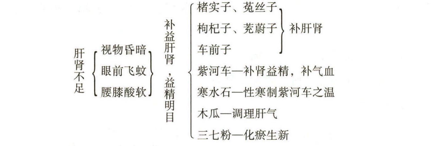 第一节 眼科常用内治法